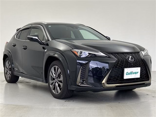 LEXUS UX250H