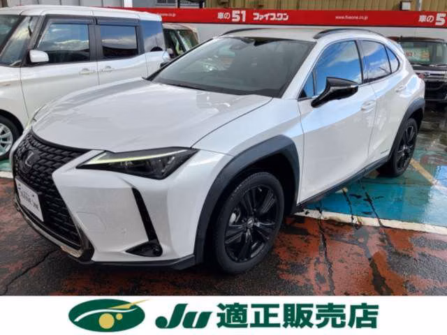 LEXUS UX250H