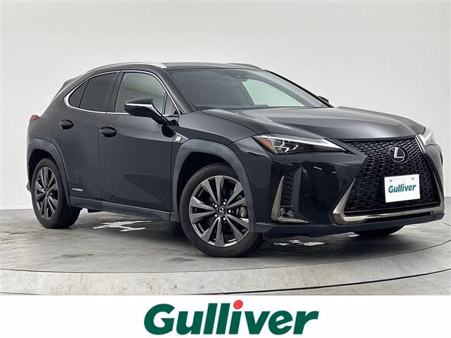 LEXUS UX250H