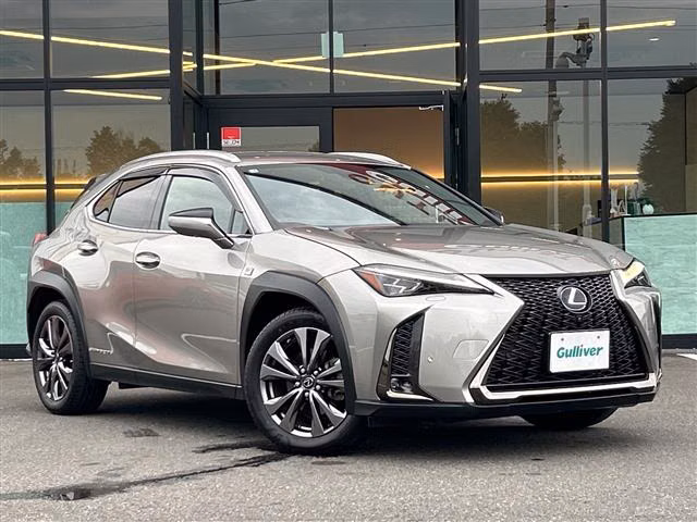 LEXUS UX250H
