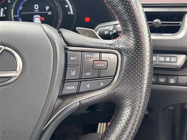 LEXUS UX250H