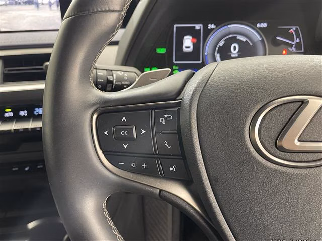 LEXUS UX250H