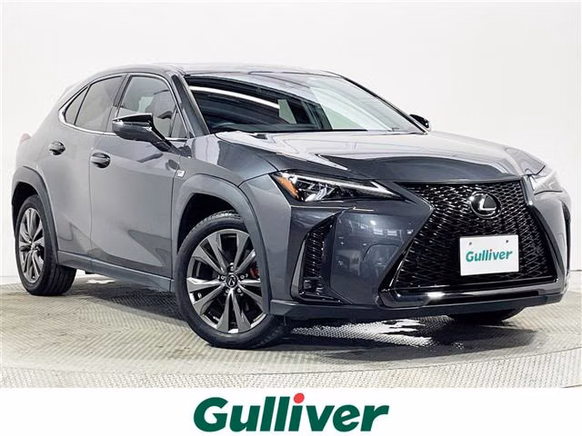 LEXUS UX250H