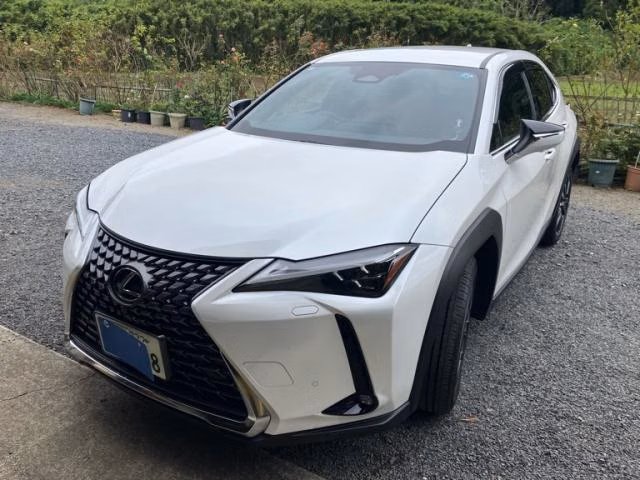 LEXUS UX300H