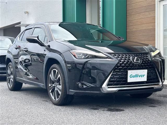 LEXUS UX250H