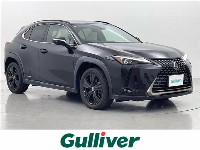LEXUS UX250H
