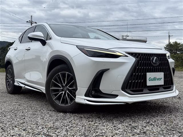 Lexus NX250