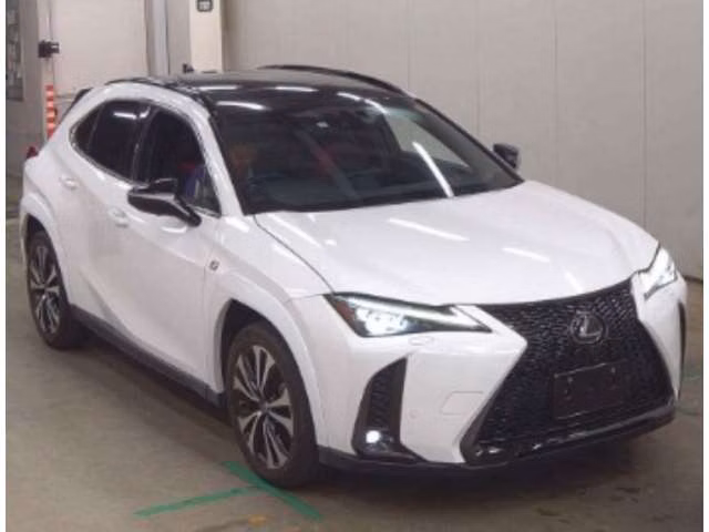 LEXUS UX250H