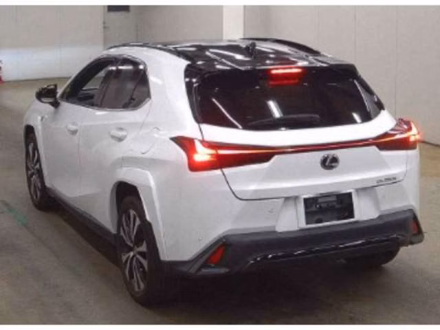 LEXUS UX250H