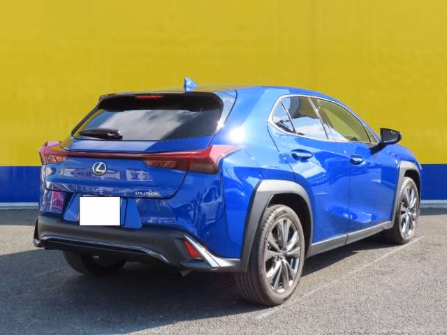 LEXUS UX250H