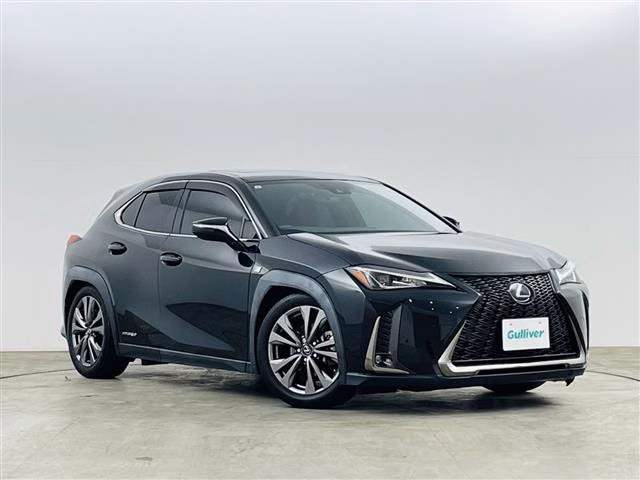 LEXUS UX250H