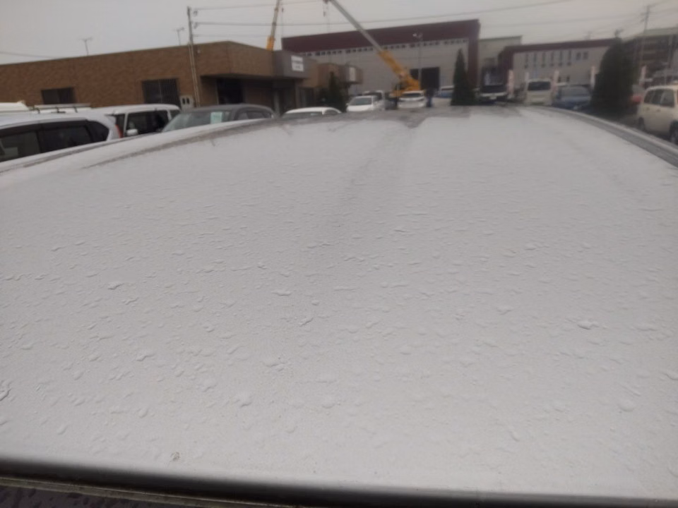 MAZDA CAROL