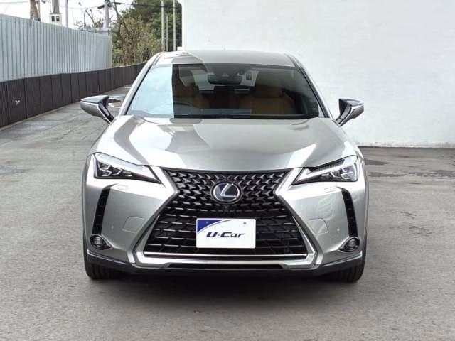 LEXUS UX250H