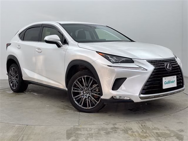 LEXUS NX300