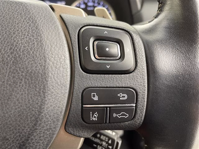 LEXUS NX300