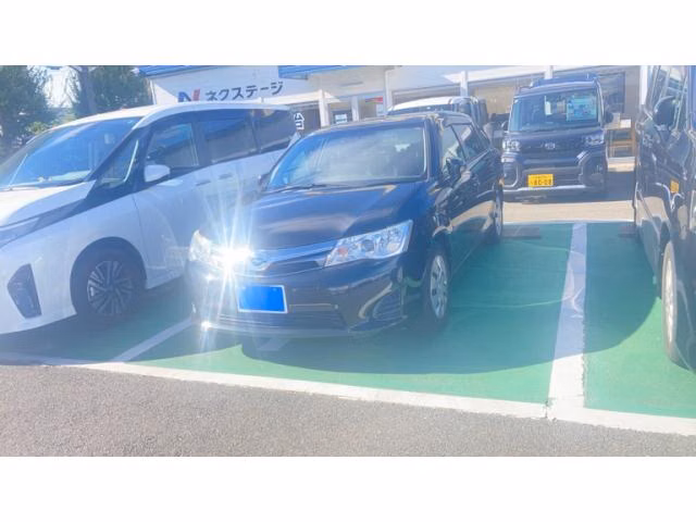 Toyota Corolla Fielder