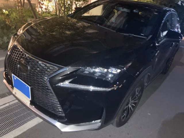 LEXUS NX300H