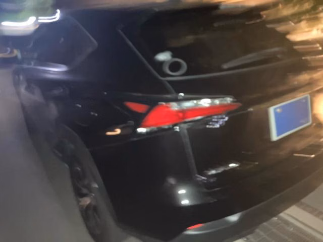 LEXUS NX300H