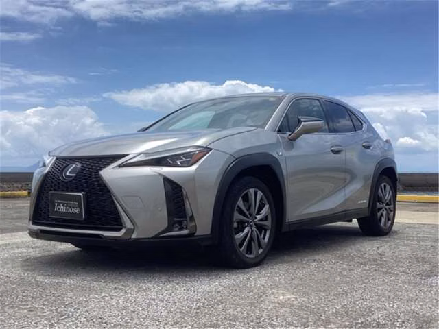 LEXUS UX250H