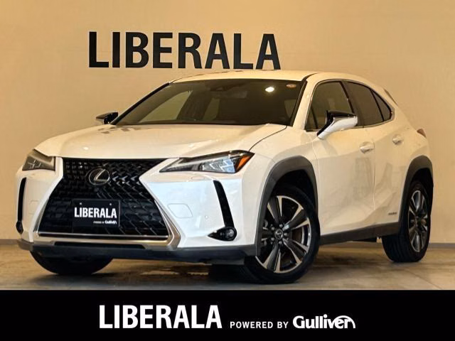 LEXUS UX250H