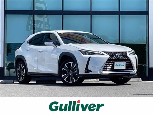 LEXUS UX250H