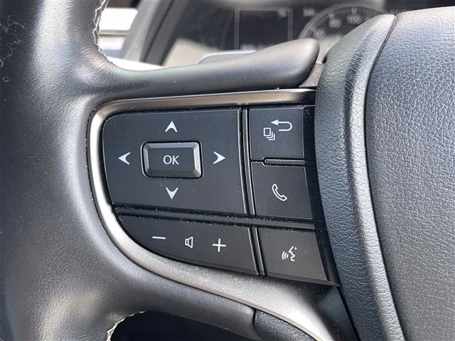 LEXUS UX250H
