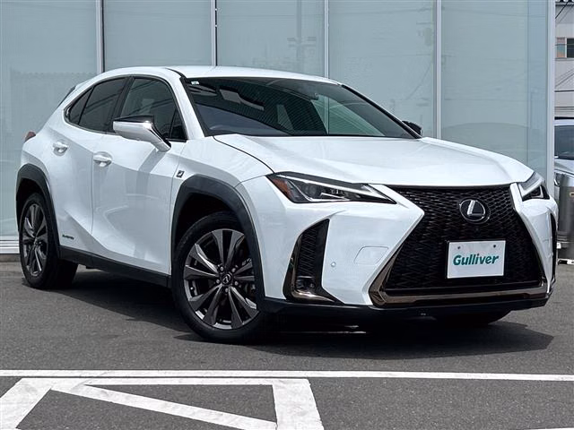 LEXUS UX250H