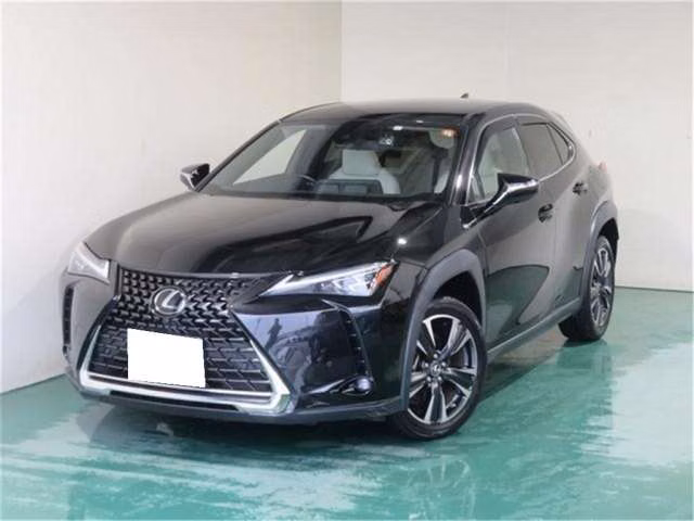 LEXUS UX250H