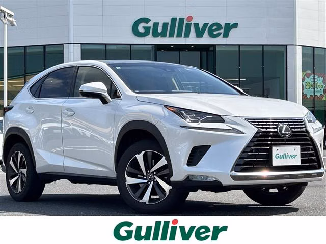 LEXUS NX300