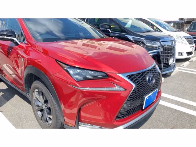 LEXUS NX300