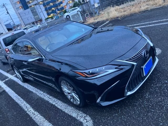 LEXUS ES300H