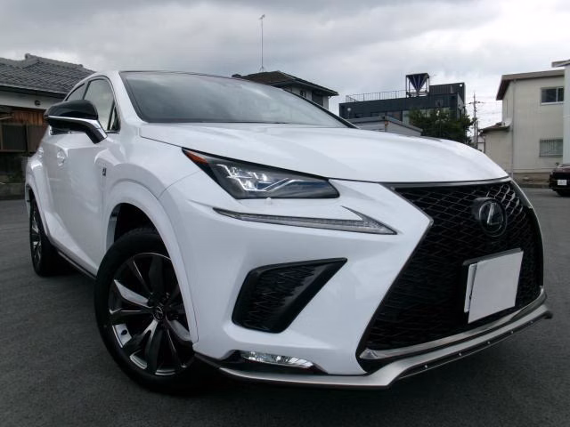 LEXUS NX300