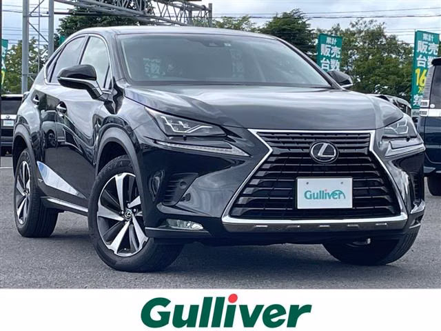 LEXUS NX300
