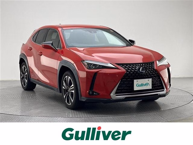 LEXUS UX250H