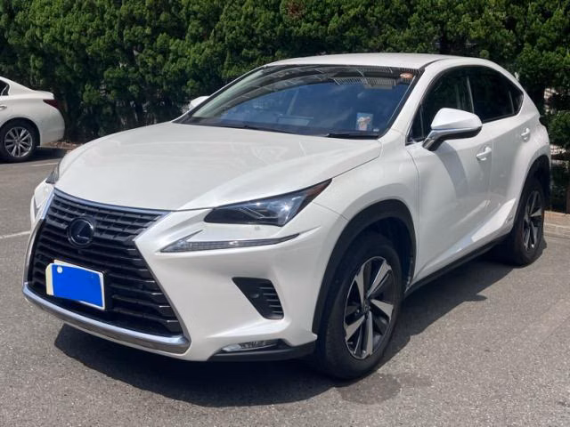 LEXUS NX300H