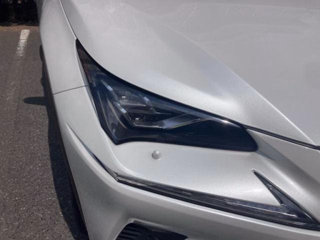 LEXUS NX300H