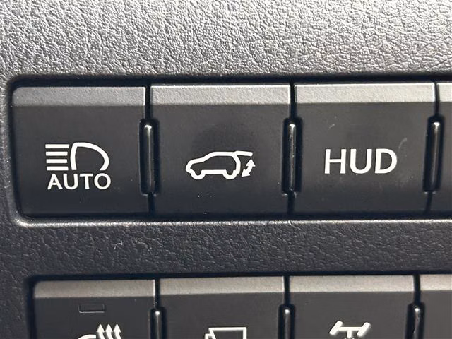 LEXUS RX300
