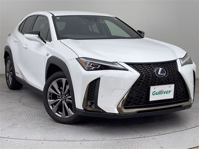 LEXUS UX250H