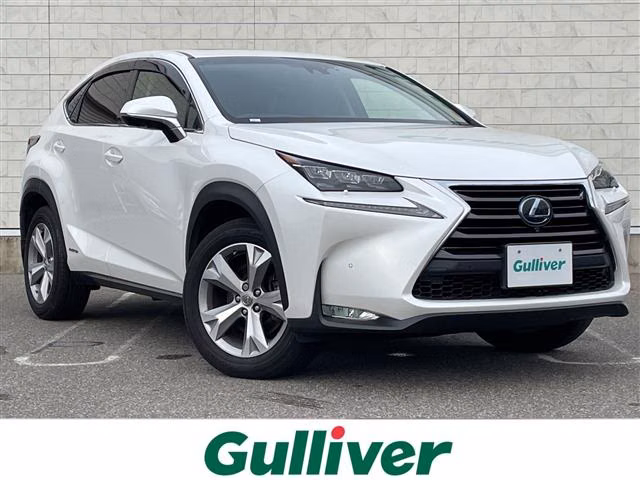 LEXUS NX300
