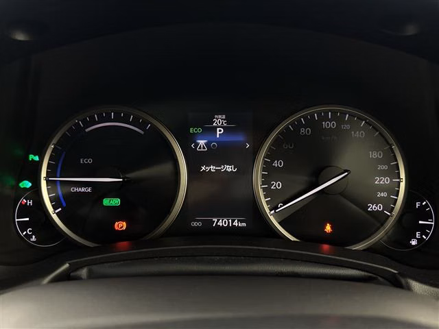 LEXUS NX300