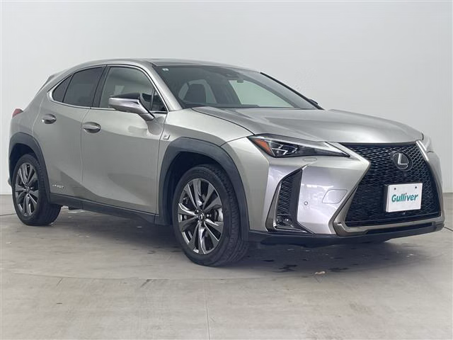 LEXUS UX250H