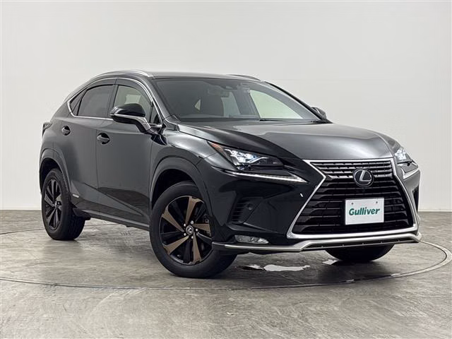 LEXUS NX300