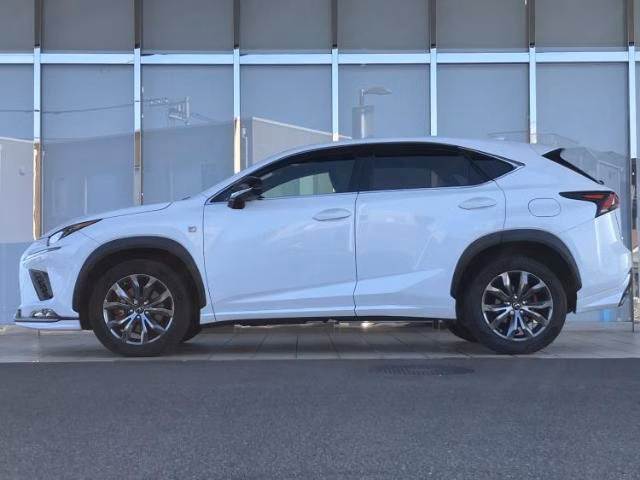 LEXUS NX300