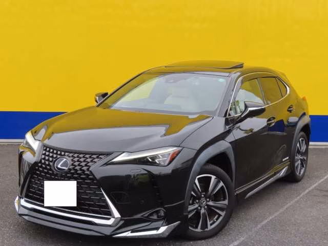 LEXUS UX250H