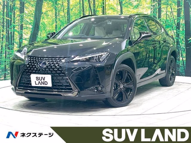 LEXUS UX250H