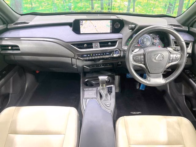 LEXUS UX250H