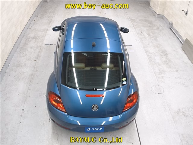 VOLKSWAGEN BEETLE