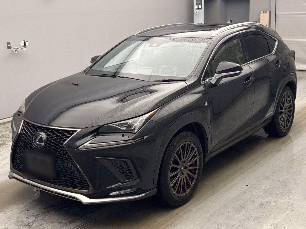 LEXUS NX300