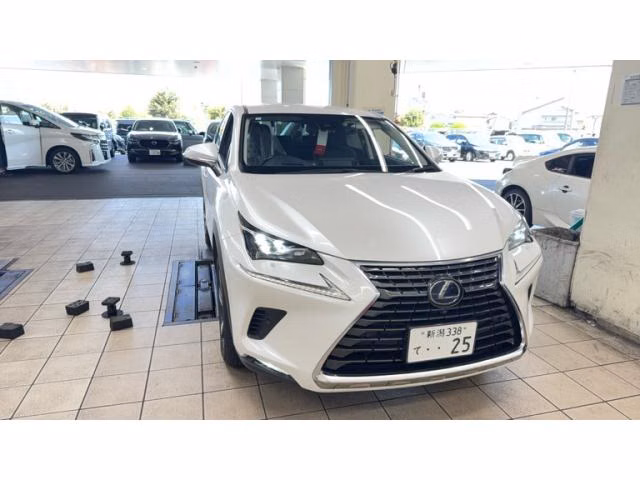 LEXUS NX300H