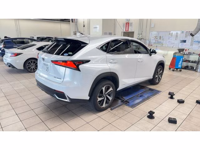 LEXUS NX300H